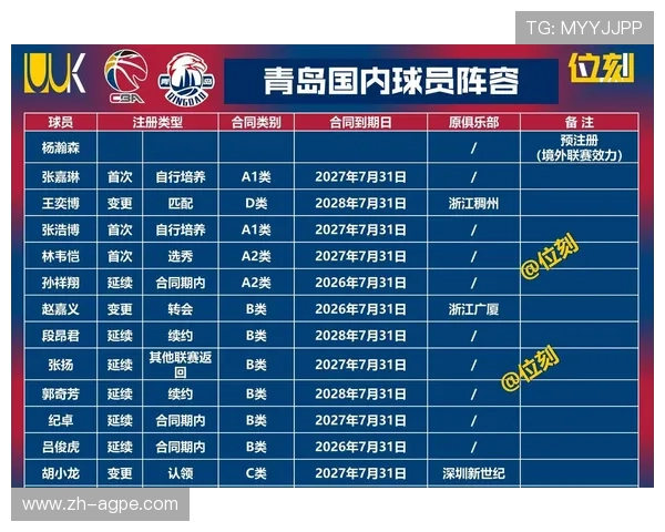 深圳CBA球队最新名单及主力球员分析