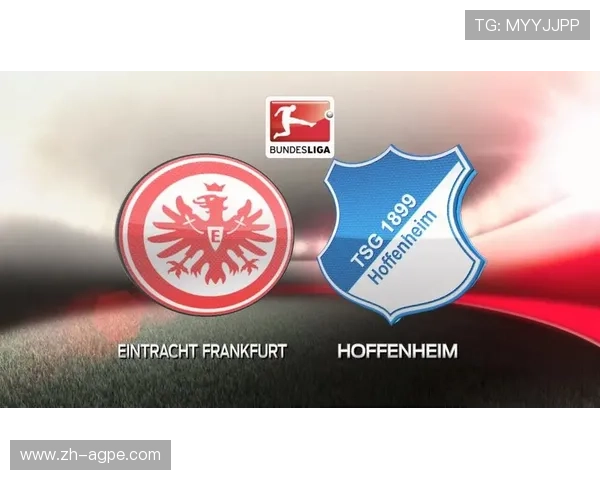 精选德甲各支足球队队徽与队服图片合集