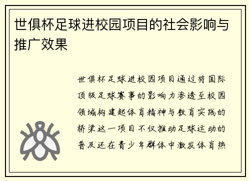 世俱杯足球进校园项目的社会影响与推广效果